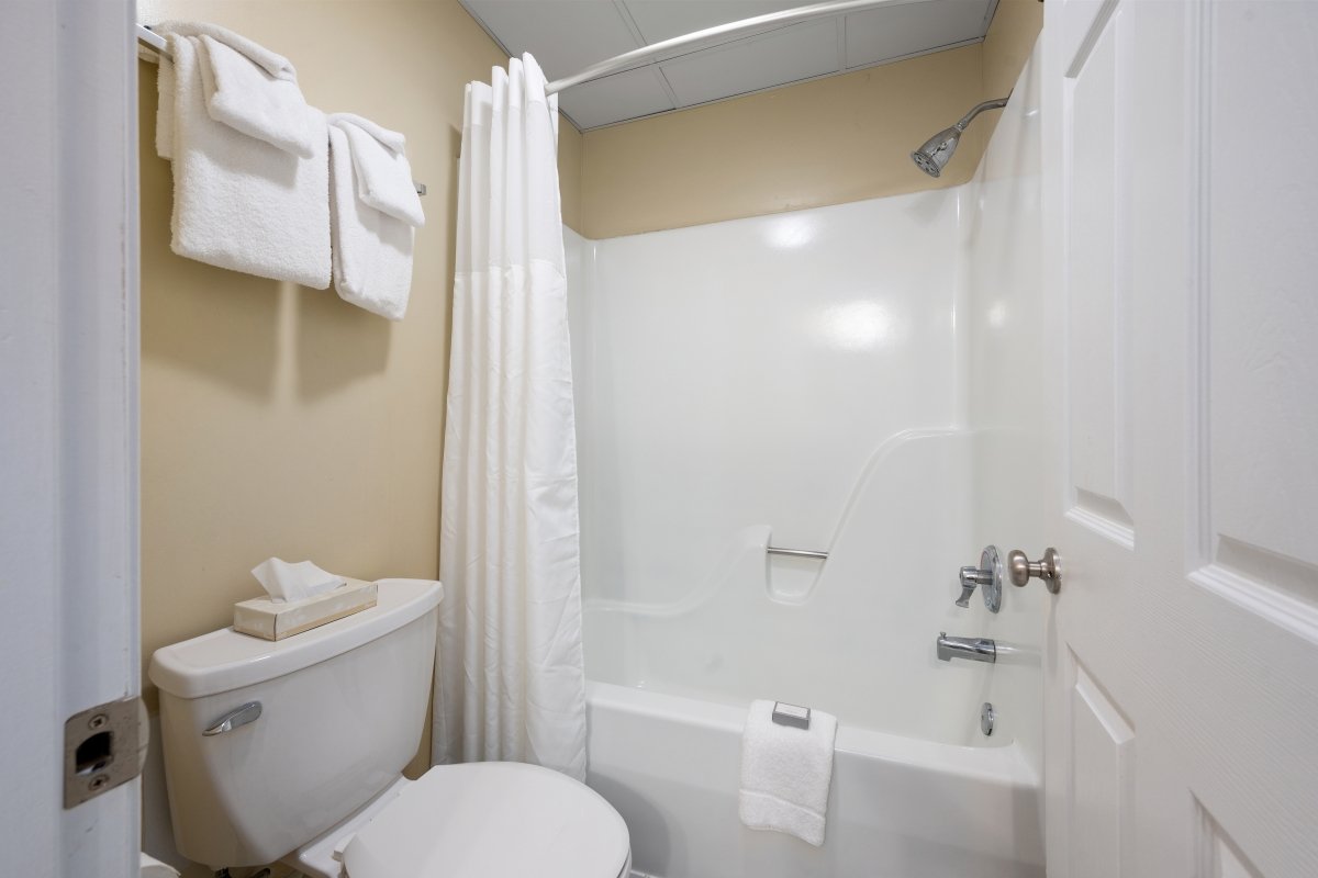 Shower and toliet in Coastal Palms Suite.