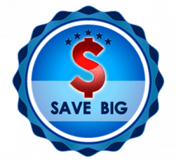 A money sign icon that says save big.